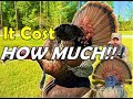 It cost how much  full body turkey mount by andy speer