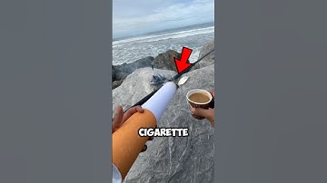 Cigarette Found Under the Microscope!😱