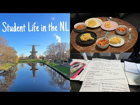 NL vlog7_秋のオランダ生活_テスト期間の様子