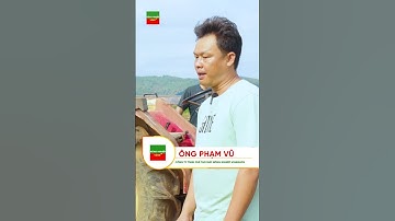 TUYỆT VỜI MÁY CẮT CỎ TỰ ĐỘNG CÔNG SUẤT LỚN #Maycatco #shorts  #maycatcotudong  #GD128NongNghiep