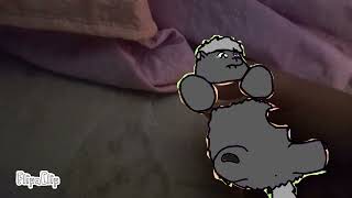 Fluffy Pony In Real Life