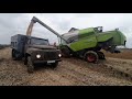 Claas Tukano 470 Уборка Сои Пионер А .