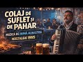 Muzica de Petrecere 2026 Colaj Petrecere 2026 🔴 Super Muzica de Petrecere, Sarbe