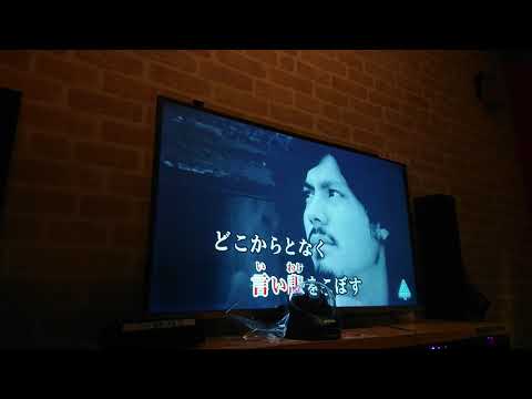 プライド革命/CHiCO with HoneyWorks  歌ってみた