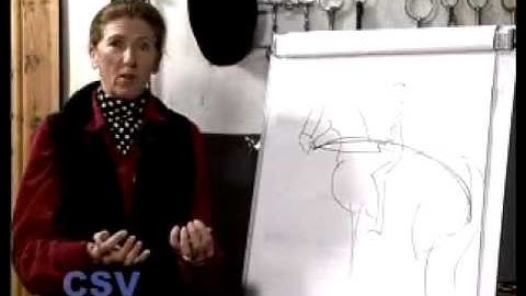 Sylvia Loch - On The Bit Dressage