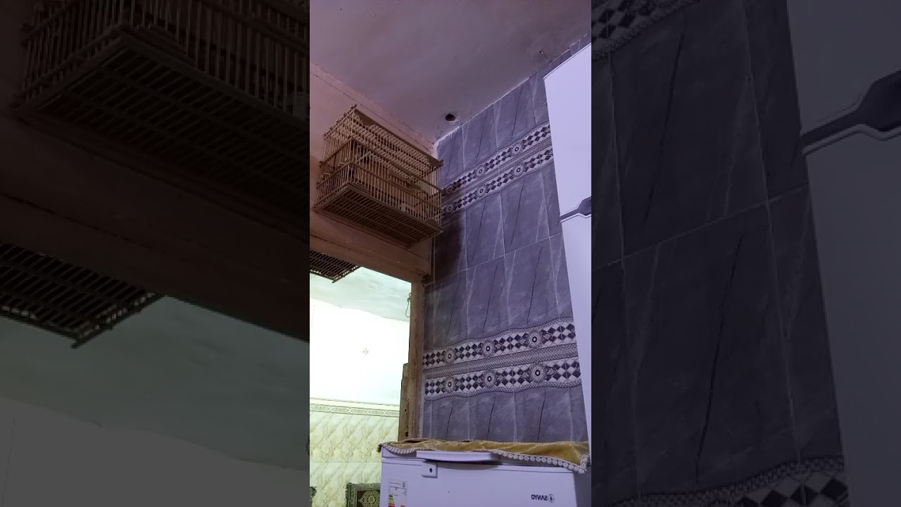 ٢٠ سبتمبر ٢٠٢٥