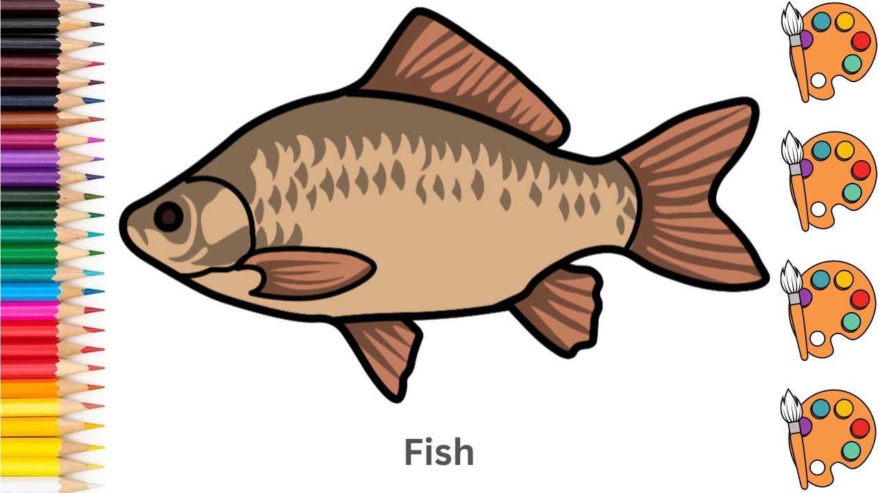 🐟 How to draw a Fish | Step by step tutorial to draw, sketch and color ...