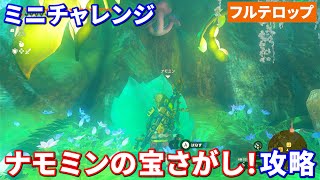 ティアキン】ナモミンの宝探し！攻略 ミニチャレンジ（フルテロップ