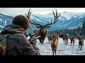 theHunter Call of the Wild | Askiy Ridge | Manitoban Elk