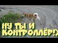 Михалыч контролирует процесс ловли форели)