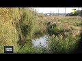 Малі річки в Одеській області на межі зникнення