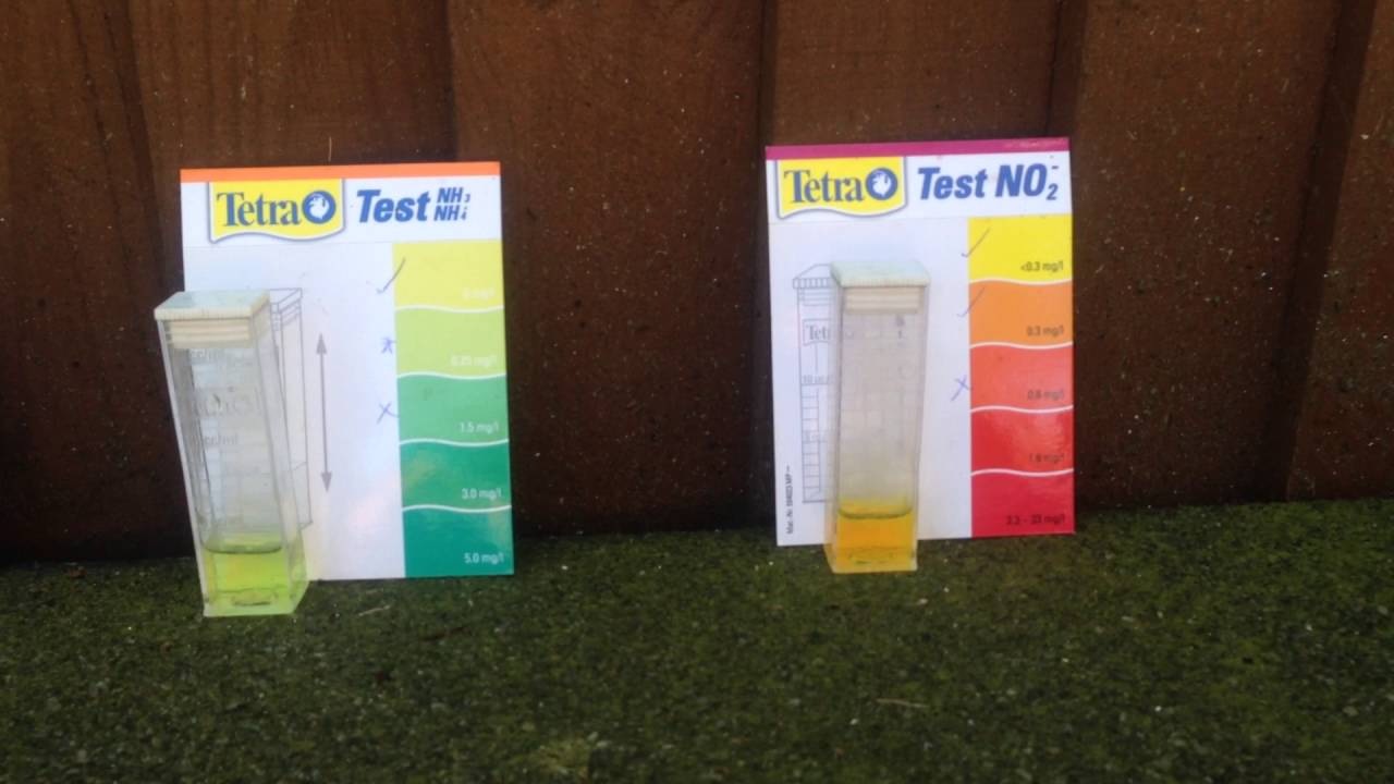 Тетра тест воды в пруду / pond water chemical test with "Tetra".