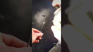 création figurine en resine de evangeline de wakfu 34 cm partie 1 #wakfu #dofus