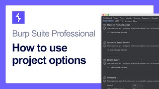 How to use Burp Suite project options