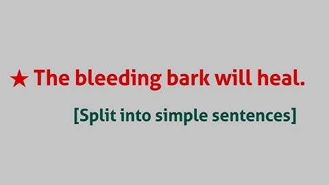 ★ The bleeding bark will heal. [ Split into simple sentences ]