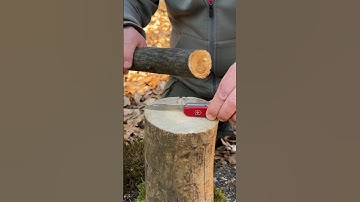 Genius Life Hack: How to Split a Log with a Small Knife. #survival #campping #lifehacks