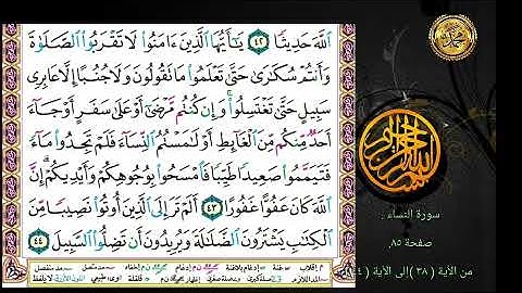 سورة النساء                                           صفحة ٨٥.🗓 من الأية ( ٣٨ )إلى الأية ( ٤٤ )