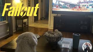 Puppy vs TV Dog 😂 #funny #trending