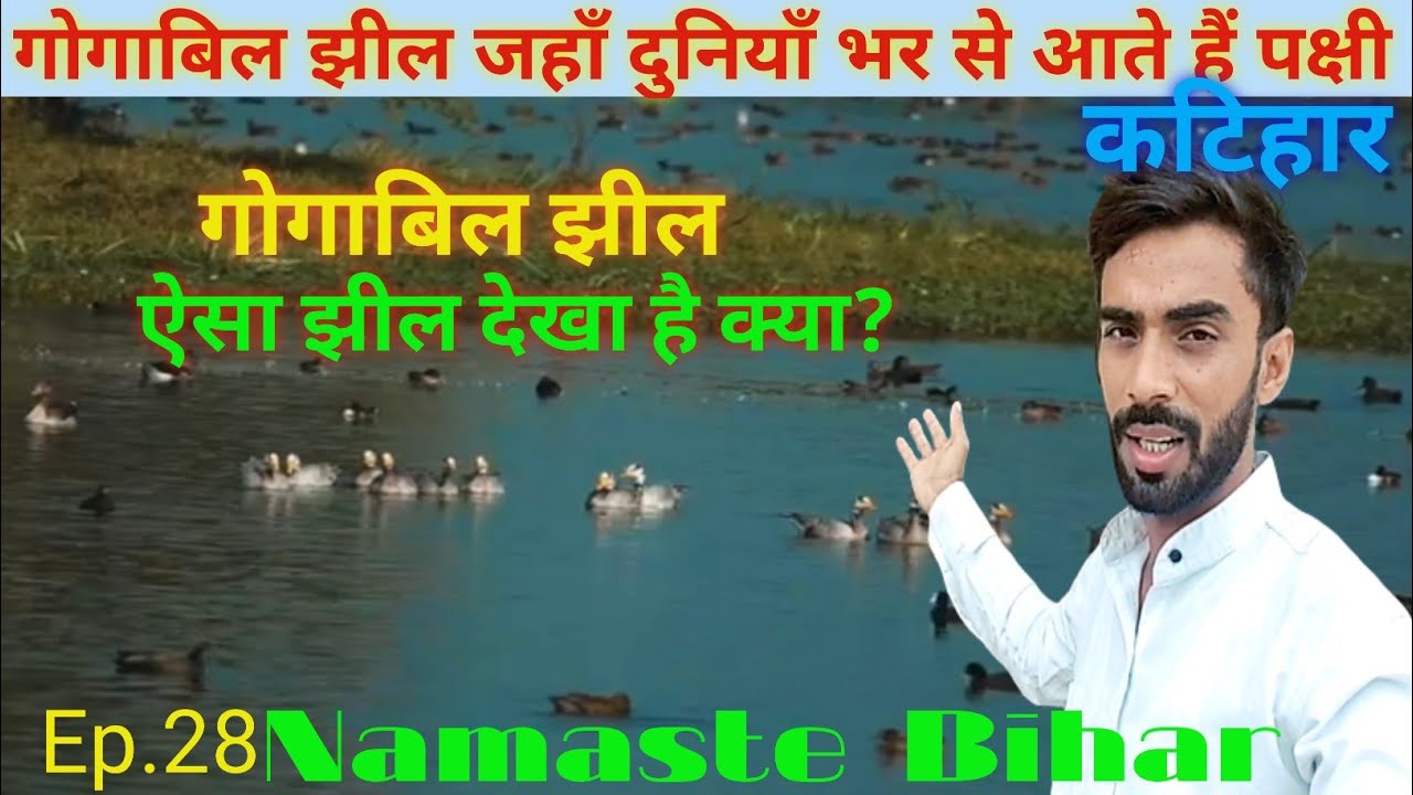 Gogabil Jheel Katihar।।Katihar Most Famous Visiting Place।।Gogabil Lake Katihar 