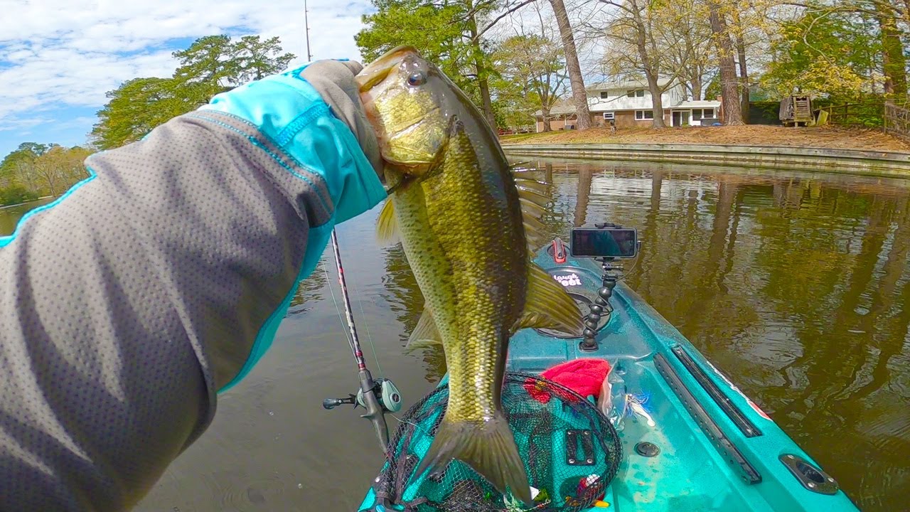 Pre-Spawn Buzzbait Goodness! // Kayak Bass Fishing
