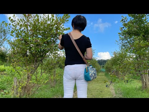 奥大山ブルーベリーファームの紹介動画サムネイル