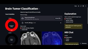 Brain Tumor Classification AI Project