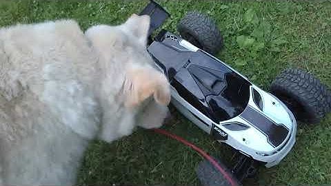 Redcat Kaiju EXT, first run, cut short