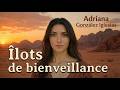 Îlots de bienveillance