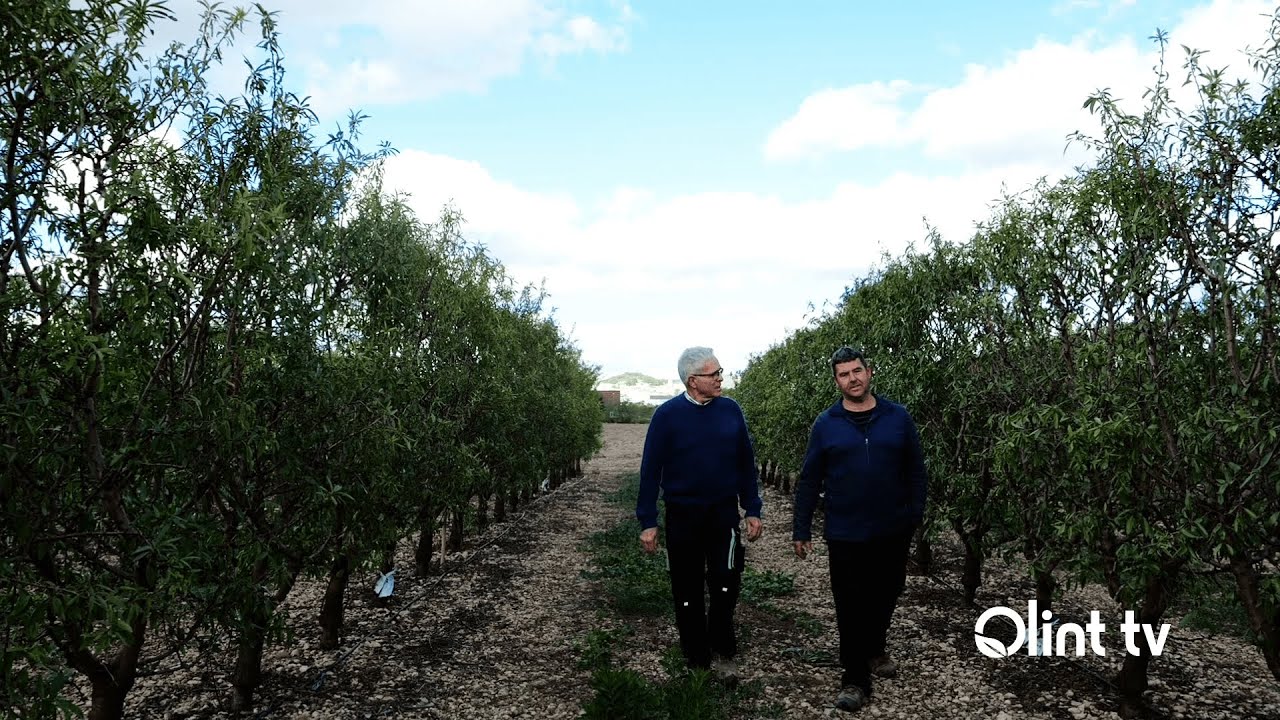 El Cultivo del Almendro en Navarra || Entrevista a Javier Pérez de Iriarte