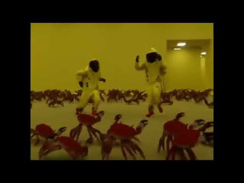 Backrooms Crabs Zangalewa waka waka meme..