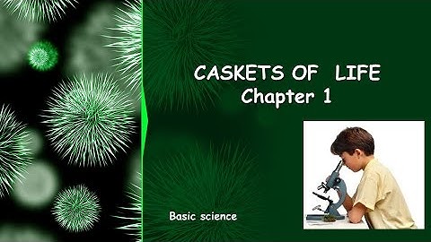 Caskets of life-Part 3-Basic Science-Class 6
