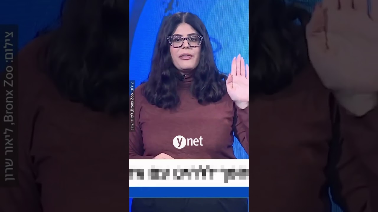 קטן מכף יד: גור לוריס איטי ננסי - כובש את הרשת