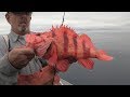 Coos Bay, OR Rockfish & Lingcod Fishing