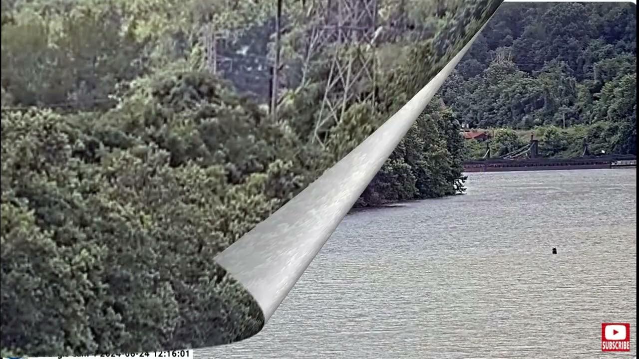 June 24, waiting for Lucky's return in the nest PixCams U. S. Steel