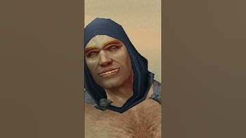 World of Warcraft but you