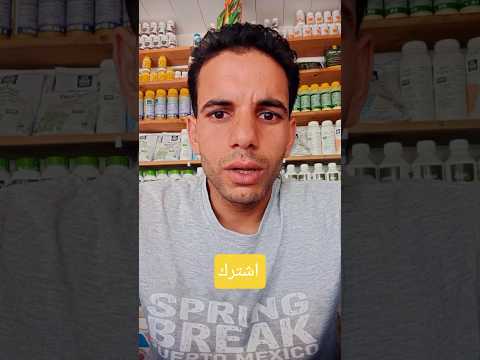 اسباب تساقط وموت بإدارات البنجر و كيفيه العلاج