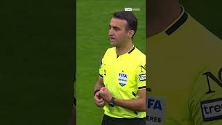 Beşiktaş - Samsunspor Maçında Sahaya Martı Girdi