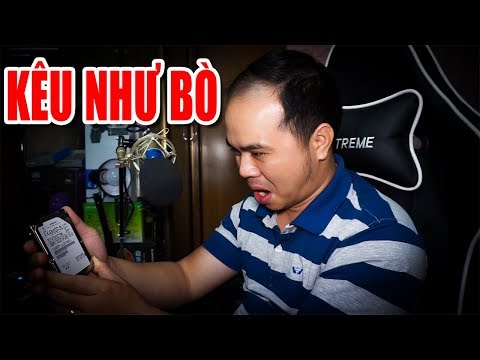 Sửa Laptop cho khách có ổ cứng kêu to như con bò | Foci