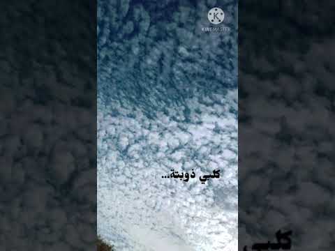 حالات انستا انت ذوقي انت جوي 