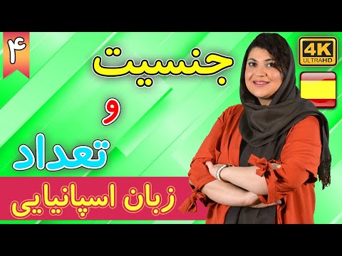 جنسیت و تعداد در زبان اسپانیایی | آموزش زبان اسپانیایی | ❹ درس 4