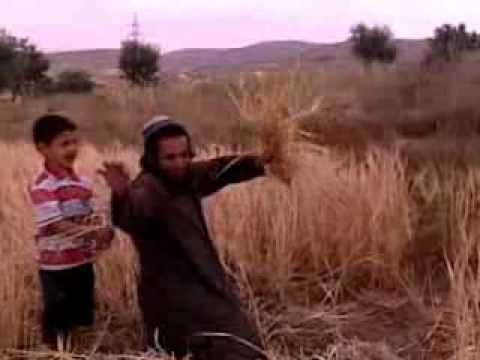 زلم الحصيده 