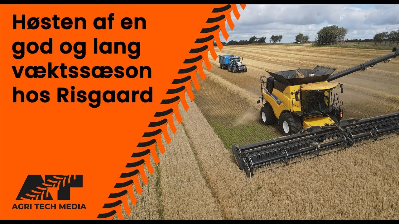 🇩🇰 Høsten af en god og lang væktssæson hos Risgaard