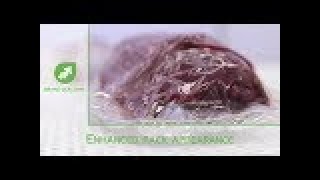 Cryovac Brand Vs95Ts-Bc Vacuum Chamber System