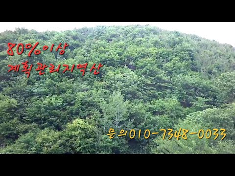 80%이상 계획관리지역산 42번국도 자동차전용직선도로 <strong>공사중</strong> 교차로 요지 주직010-7348-0033 매번30603