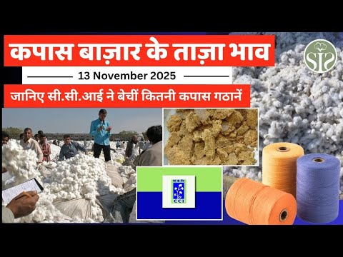 आज रुई बाज़ार की स्थिति कैसी रही🤓Aaj ka kapas bajar bhav #cotton #cottoncorporationofindia