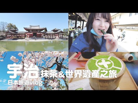 日本旅遊｜京都｜"日本最古老"國寶宇治上神社、世界遺產平等院、宇治抹茶中村藤吉本店、櫻花季｜vlog