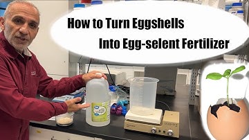 How to Make Calcium Rich Fertilizer Using Eggshells and Vinegar