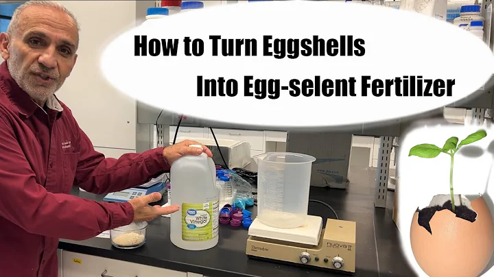 How to Make Calcium Rich Fertilizer Using Eggshells and Vinegar