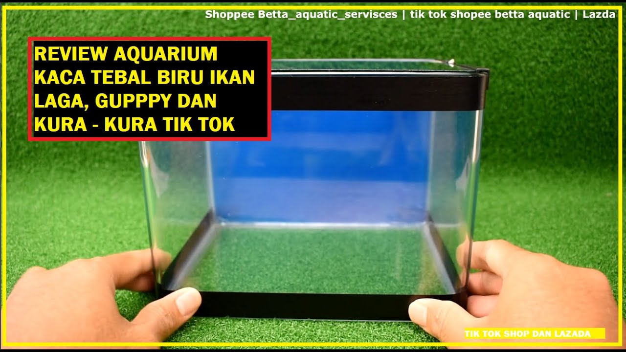 REVIEW AQUARIUM KACA TEBAL BIRU SAIZ 8 ( TIKTOK SHOP SHOPEE LAZADA