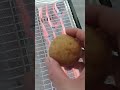 Elektrikli ocakta patates pişer mi  #elektrikli #ısıtıcı  #deneyzamanı #kumpir #reelsvideo